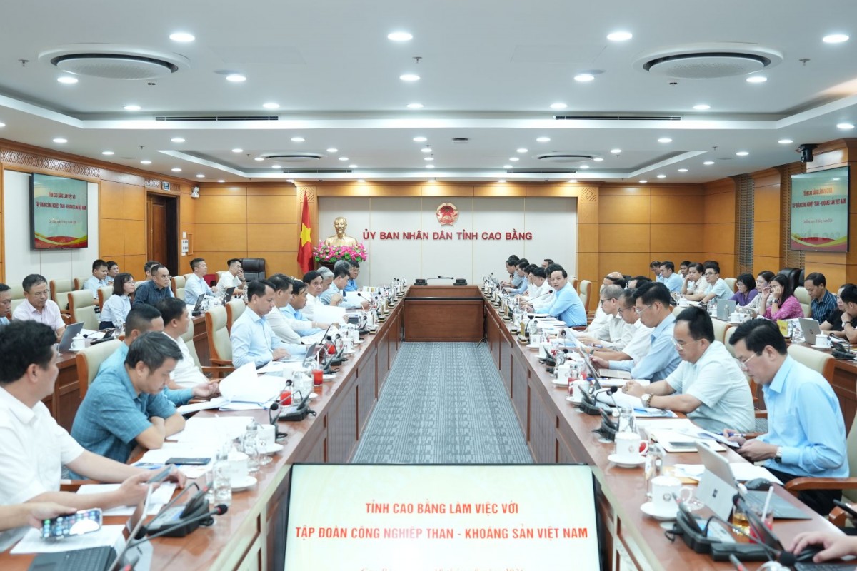 TKV làm việc với tỉnh Cao Bằng về tình hình hoạt động sản xuất, kinh doanh và đầu tư TKV làm việc với tỉnh Cao Bằng về tình hình hoạt động sản xuất, kinh doanh và đầu tư